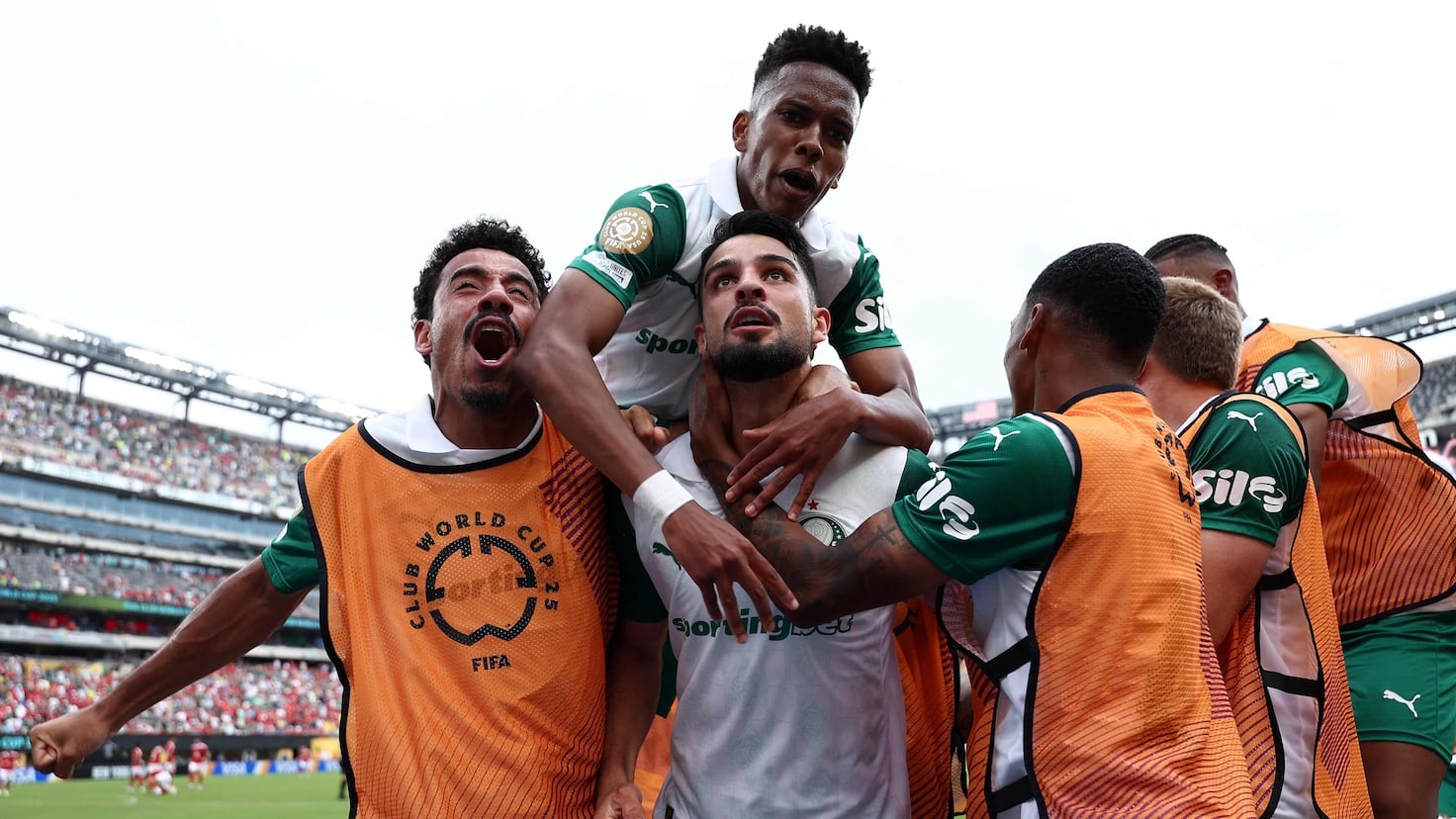 Palmeiras est sérieux – comme.com