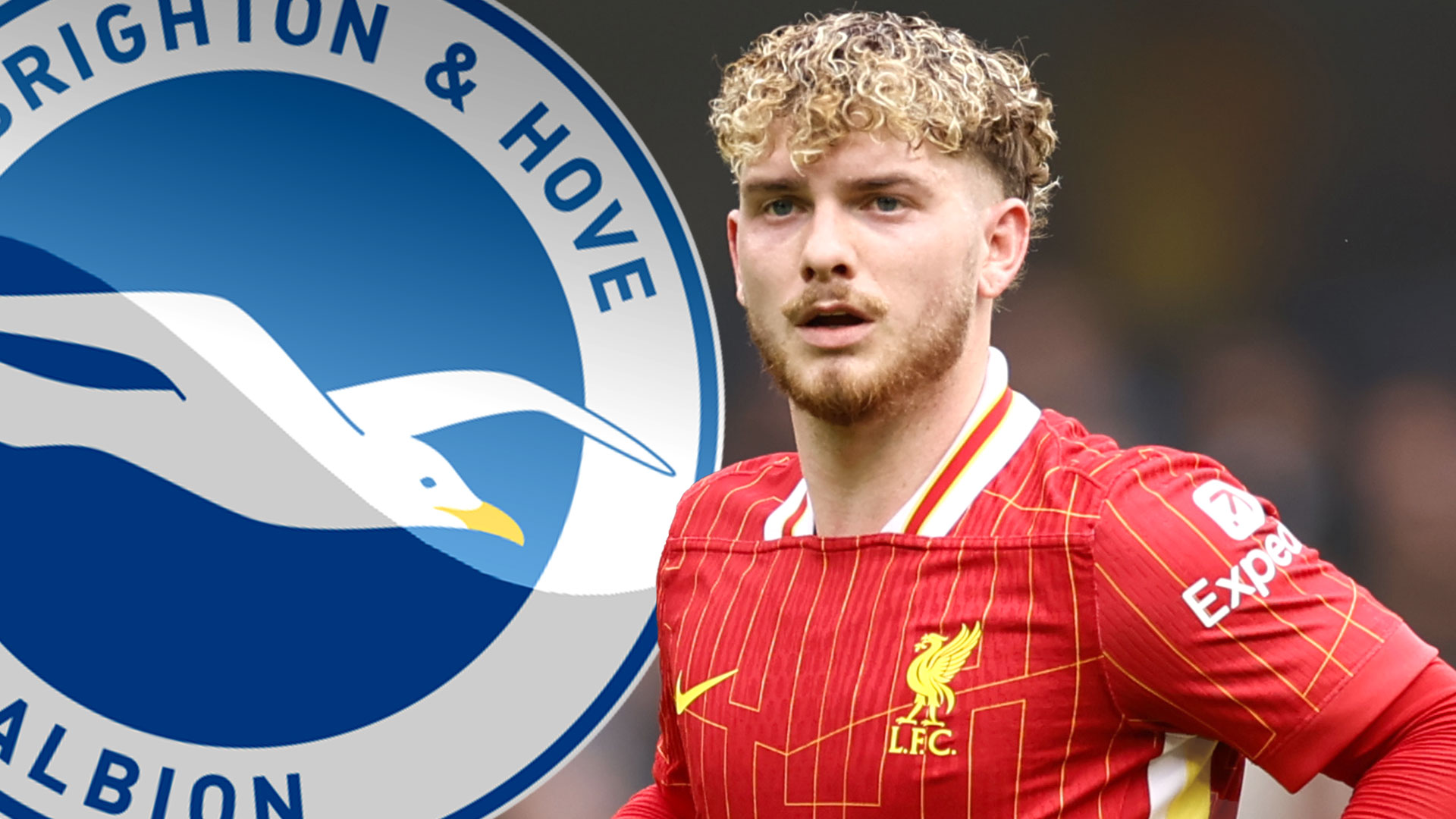 Brighton s'est mis à entrer dans la course à Harvey Elliott Transfer et à avoir une arme secrète dans BRIBE TI LAT LATERPOOL STAR