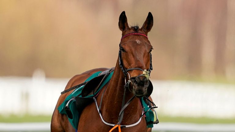 3_Cheltenham-Festival-2021-Day-Three.jpg